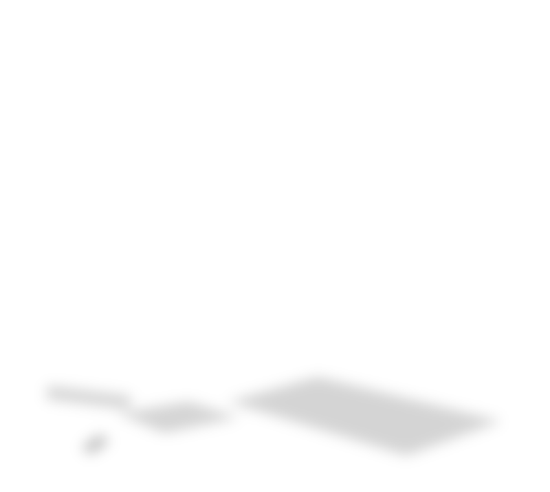 Shadow